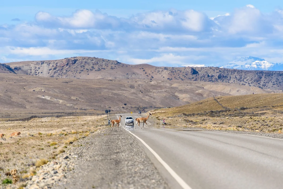 Road trip Patagonie 2 semaines : quel axe choisir, et pourquoi