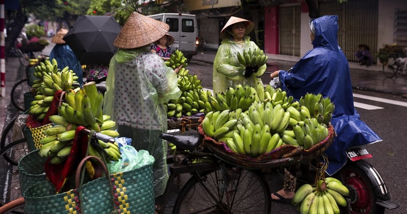Apprendre les coutumes locales lors d'un voyage au Vietnam : le guide