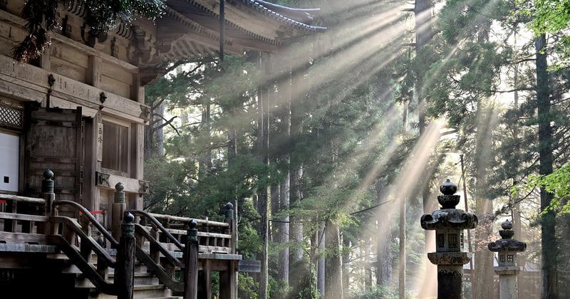 Comment visiter les temples de Kyoto en famille sans stress