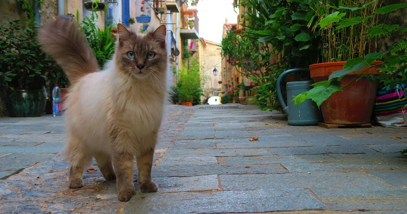 Comment choisir ses villages sans y passer trois soirées
